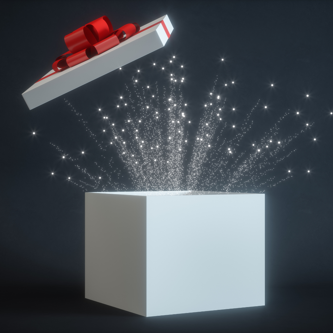 Christmas Mystery Gift Box